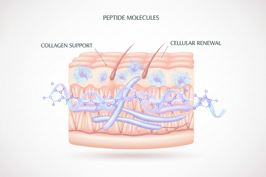 🧬 Peptides in Skincare: Do They Work?