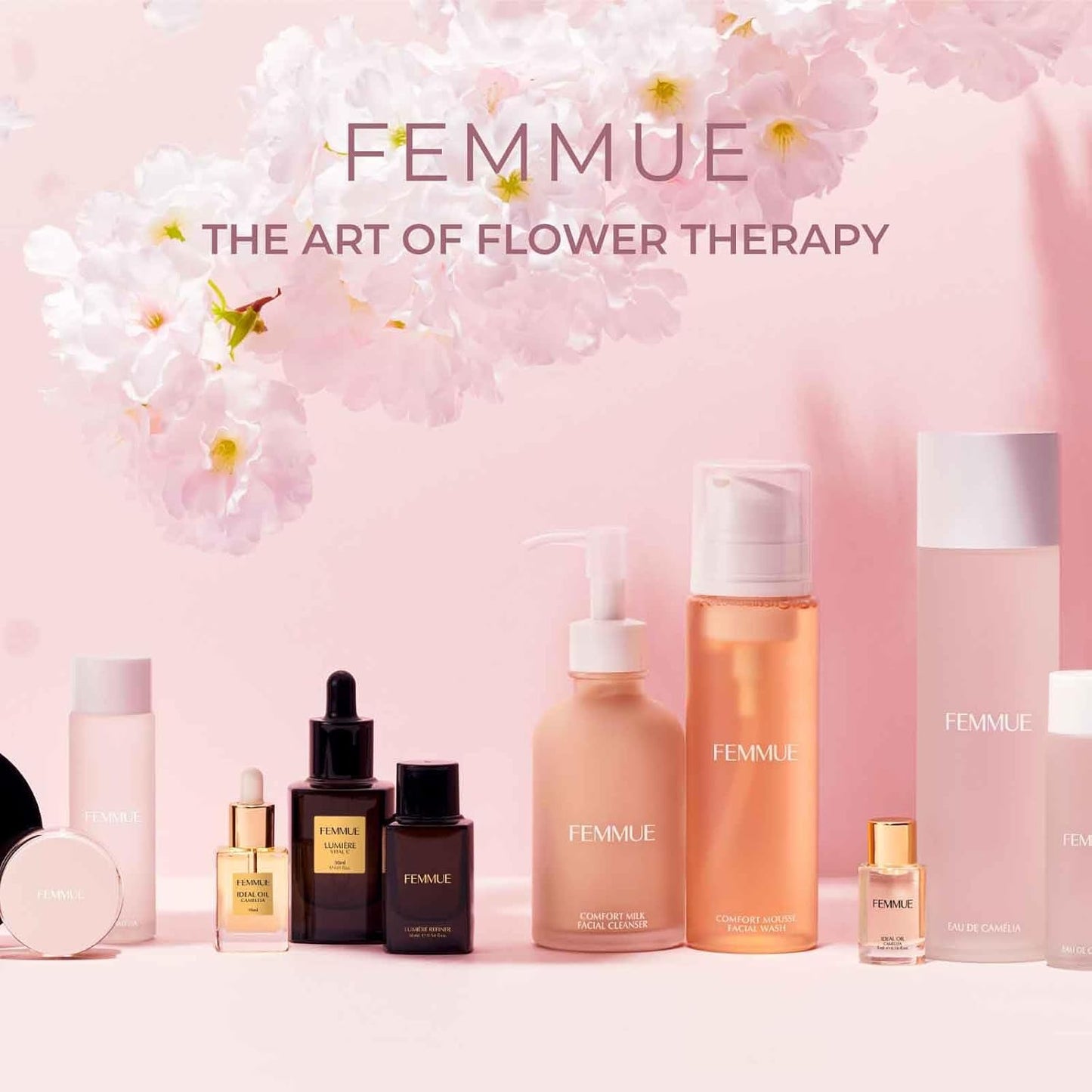 Cleansing Gel Face Wash (3.38 oz) | Hydrating Daily Facial Gel Cleanser & Makeup Remover with Blueberry Extracts | Korean Skincare