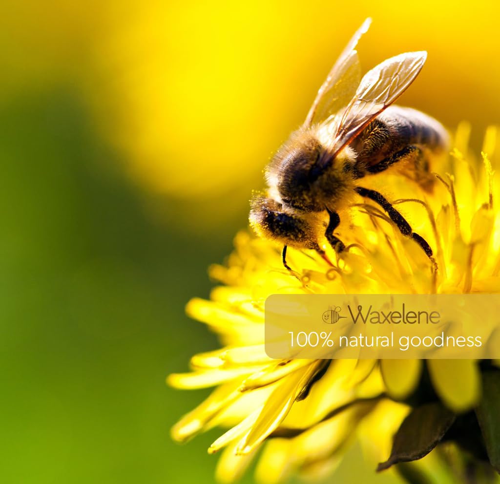 Waxelene Lavender Aerated Lip Balm Tin 4 Piece, Best Lip Balm Ever Organic Calming Multipurpose Ointment Baby Eczema Dry Skin Face Moisturizer