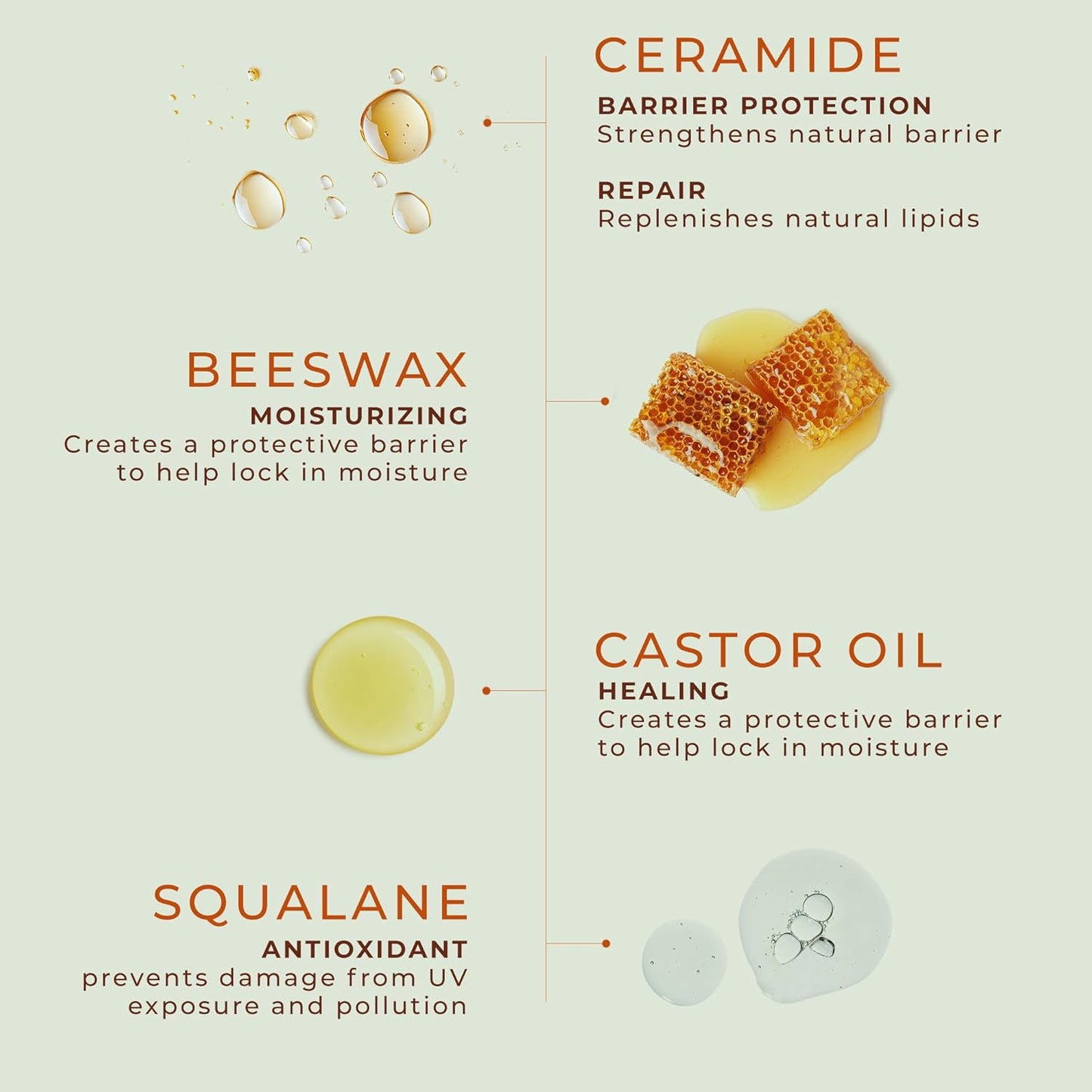 Peppermint Lip Balm with Castor Oil & Vitamin E - Nourishes & Protects Dry Lips, Lip Moisturizer with Ceramide & Squalane, Natural Lip Balm Mint with Deep Hydration for Soft Lips - Lip Repair