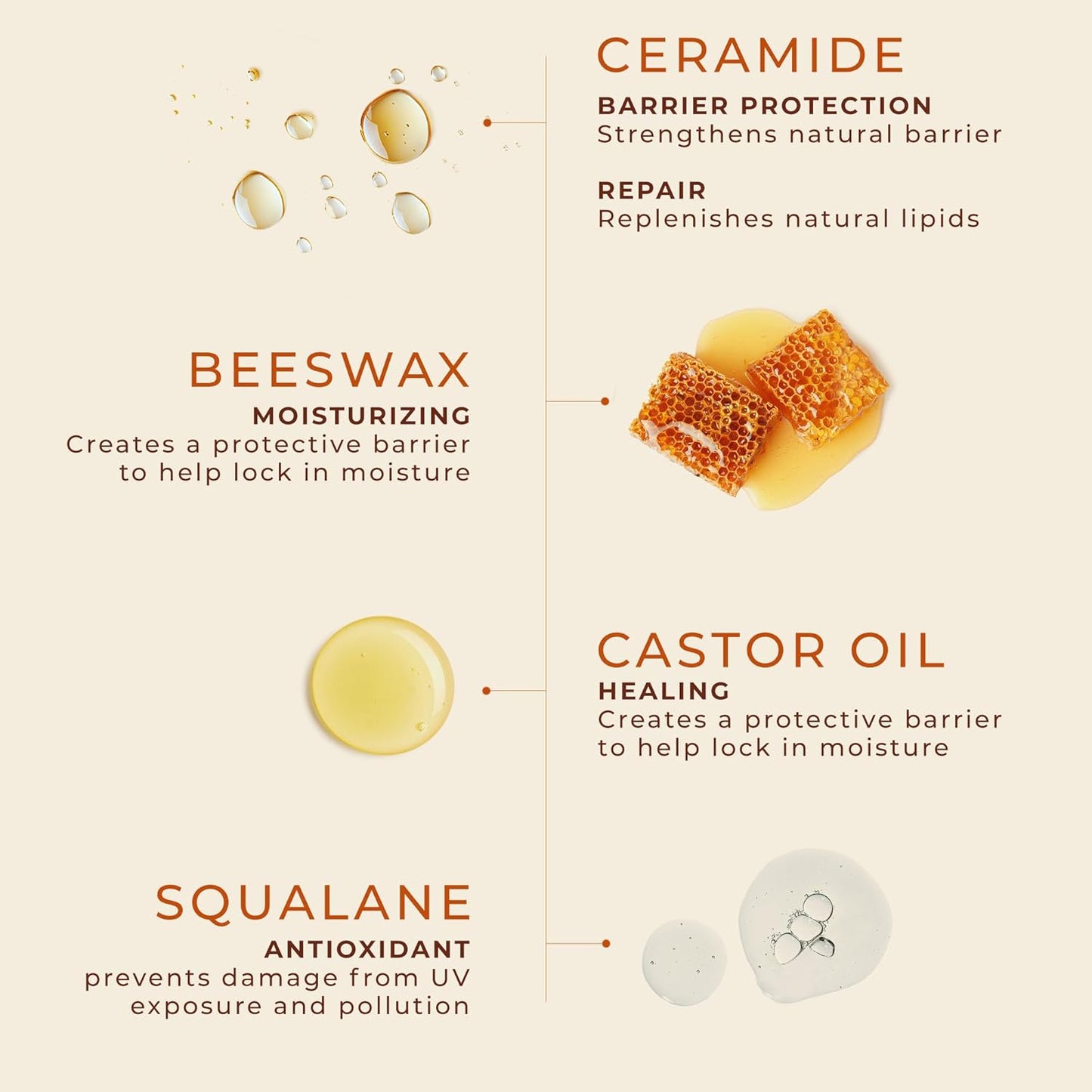 Unscented Lip Balm Hydrating for Dry Lips - Lip Moisturizer with Castor Oil and Beeswax, Chapped Lip Repair, Restores Smoothness, Barrier Protection, Fragrance-Free and Gentle