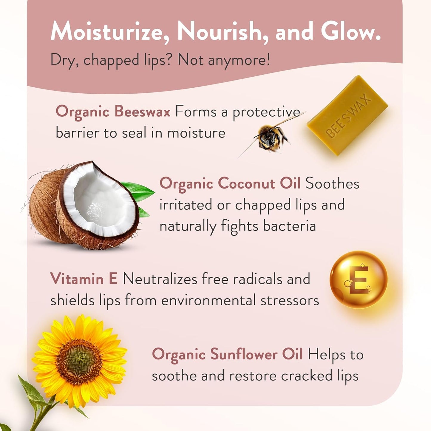 Moroccan Magic Organic Watermelon Lip Balm 3 Pack | Ultra-Hydrating Argan & Essential Oil Lip Moisturizer + Vitamin E | Natural Chapstick for Dry Lips | Smooth, Non-Toxic | Organic Lip Balm